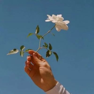 ManBetX手机网页版登录注册