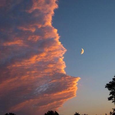 新澳门游戏网站入口下载手机版截图